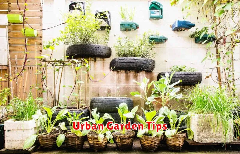 Urban Garden Tips