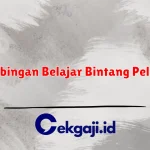 Bimbingan Belajar Bintang Pelajar