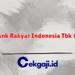 PT Bank Rakyat Indonesia Tbk (BRI)