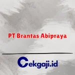 PT Brantas Abipraya