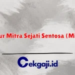 PT Catur Mitra Sejati Sentosa (Mitra10)