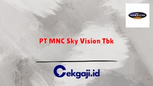 PT MNC Sky Vision Tbk